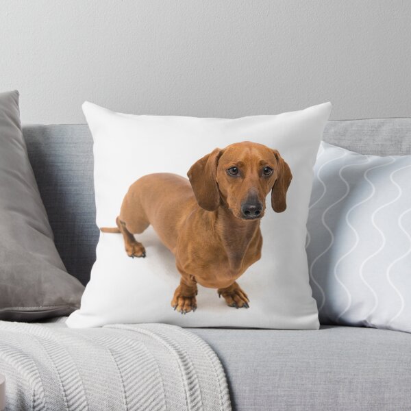 Dachshund Throw Pillow