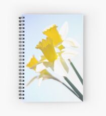 Sunny Daffodils on Blue Sky Spiral Notebook