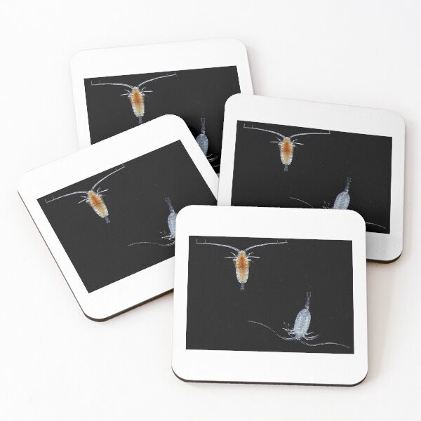 Item preview, Copepod Duet designed and sold by MicrocosmFilm.