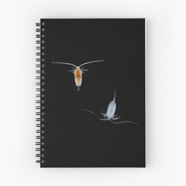 Item preview, Copepod Duet designed and sold by MicrocosmFilm.