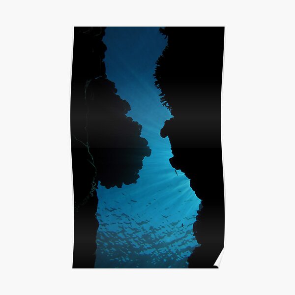 The Swim Through Poster