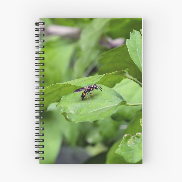Item preview, Little Yellow Jacket designed and sold by SRosuphotos.