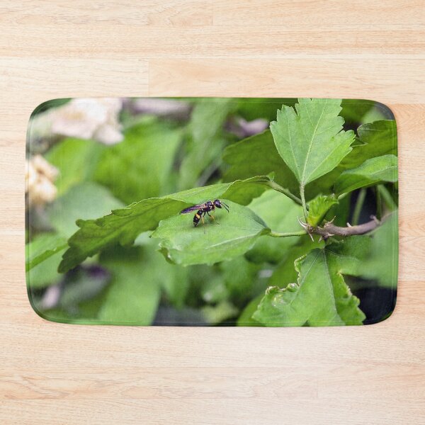 Item preview, Little Yellow Jacket designed and sold by SRosuphotos.