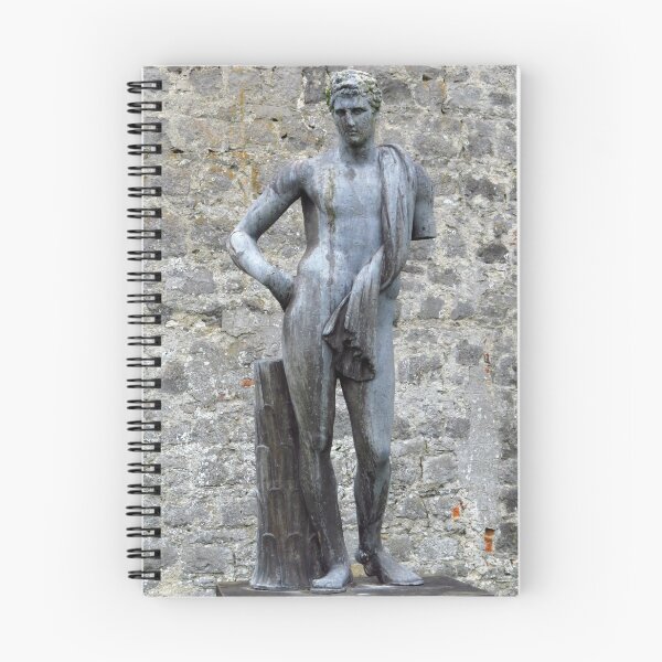 Item preview, Romanesque Statue Outside Kilkenny Castle designed and sold by wiggyofipswich.