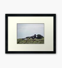 Perfect Peace Framed Print
