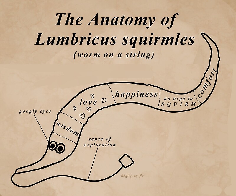 "The Anatomy of a Worm on a String" by MemeBubble Redbubble