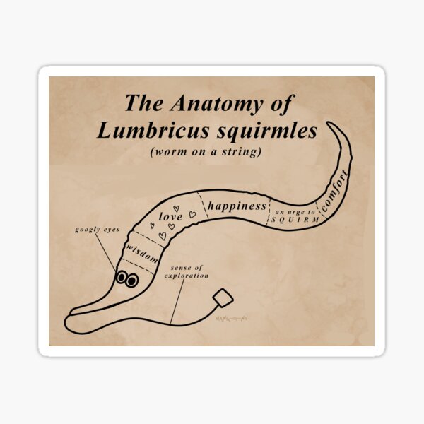 Vista previa del artículo con la obra «La anatomía de un gusano en una cuerda», diseñado y vendido por Meme-Bubble.