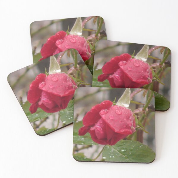 Item preview, Iron Rose designed and sold by taubs.