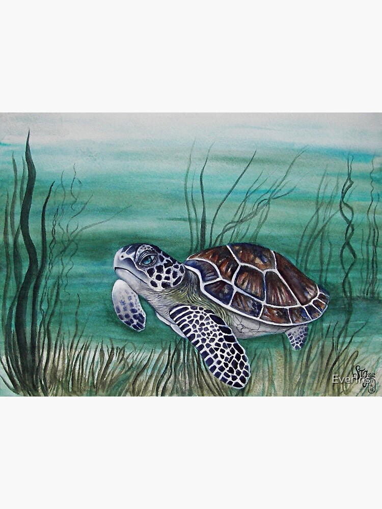 Hawksbill Sea Turtle by EverIris