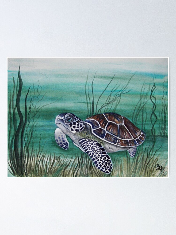 Alternate view of Hawksbill Sea Turtle Poster