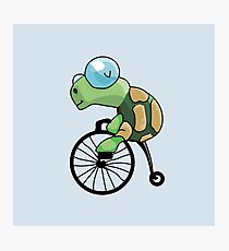 Turtle Likes to Ride. Photographic Print