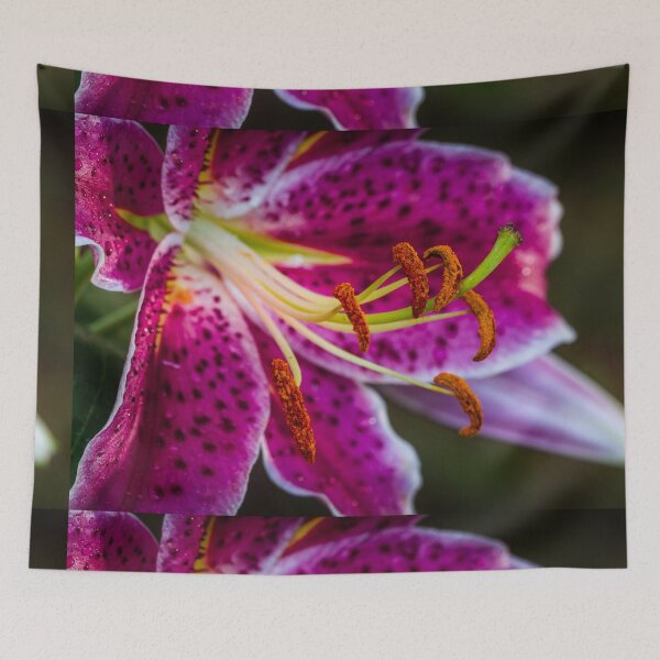 Item preview, Close-up of Garden Lily 12 designed and sold by Robert Alsop.
