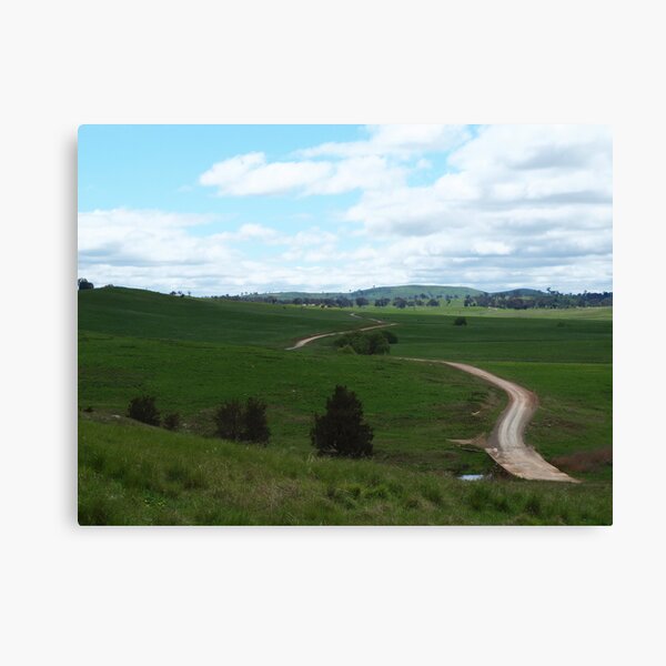 The Road Across The Shady Green! Canvas Print