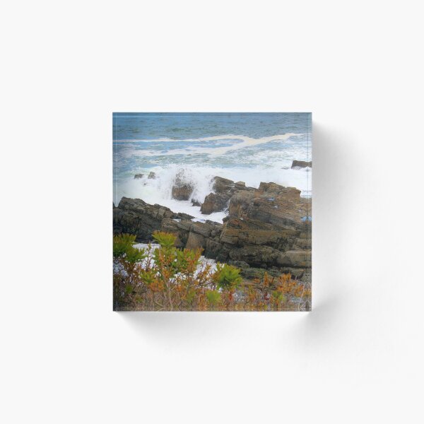 Rocky Coast of Maine Acrylic Block