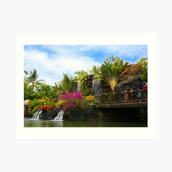 Hawaii Art Print