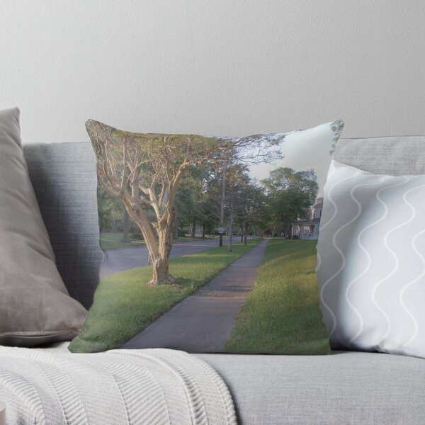 Item preview, Quiet and Peaceful Street designed and sold by Carolyn Ricks.