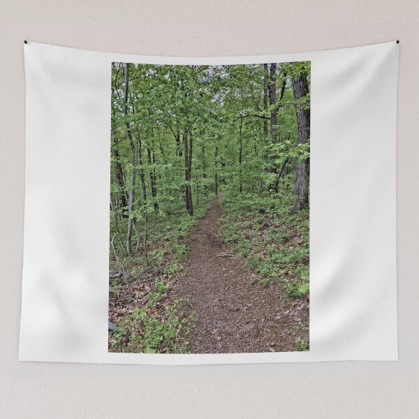 Item preview, Trail Through An Arkansas Forest 2 designed and sold by jtrommer.