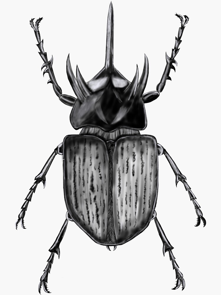 Thumbnail 3 of 3, Sticker, Rhino big horn beetle bug designed and sold by ainikolov.