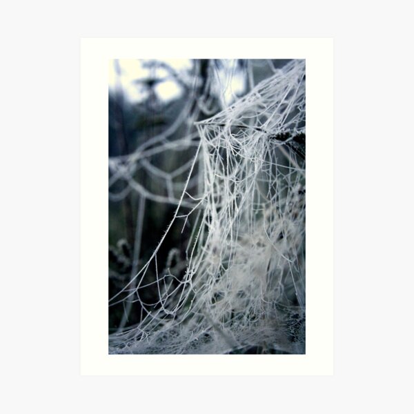 Winter cobwebs Art Print