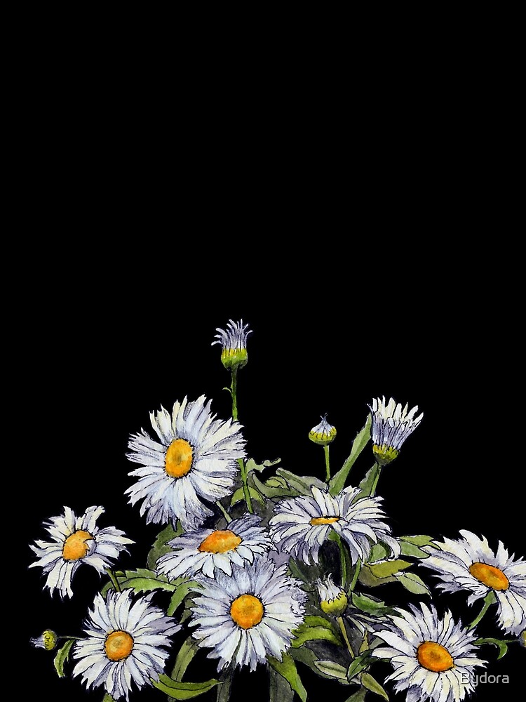 Loving daisy by Bydora