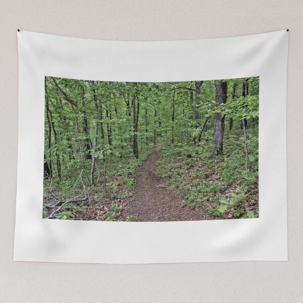 Item preview, Trail Through An Arkansas Forest 1 designed and sold by jtrommer.