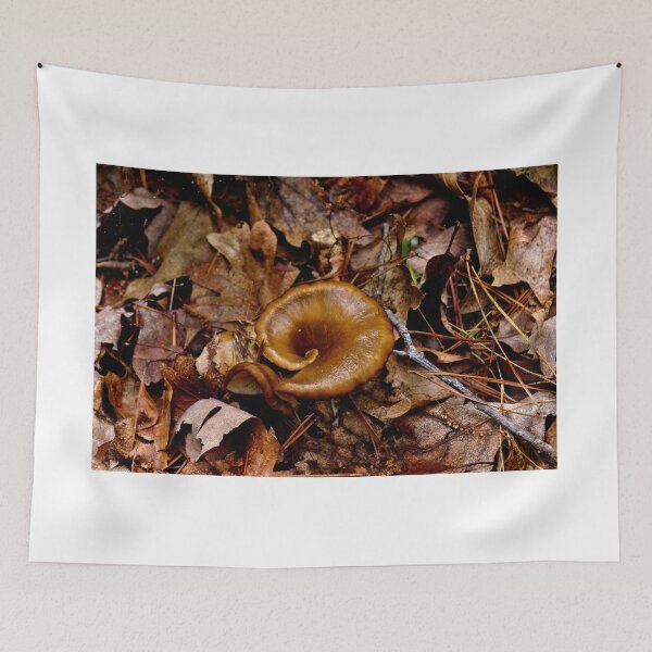 Item preview, Mushroom In An Arkansas Forest designed and sold by jtrommer.