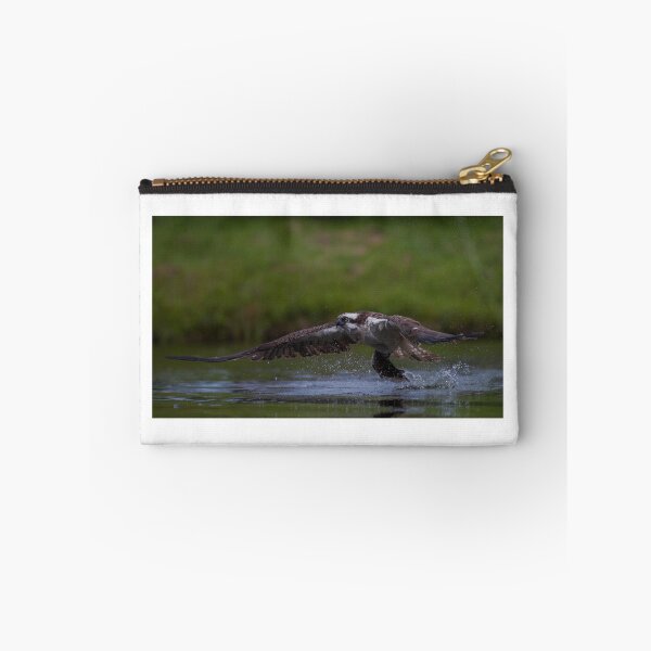 Item preview, Osprey and fish designed and sold by tonivainio.