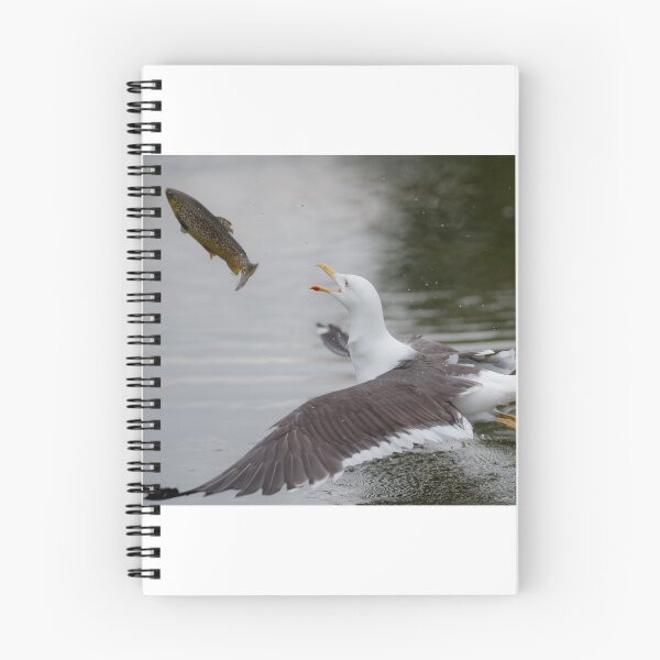 Item preview, Lesser black-backed gull catches trout designed and sold by tonivainio.