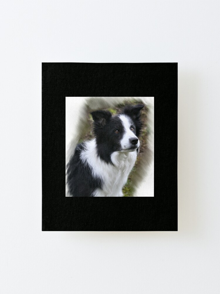 gifts for border collie lovers