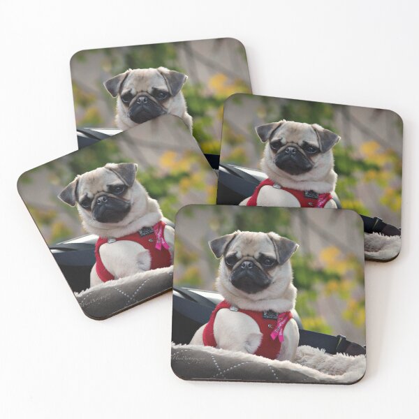 Item preview, Cute Pug in Brugge designed and sold by Yannik Hay.