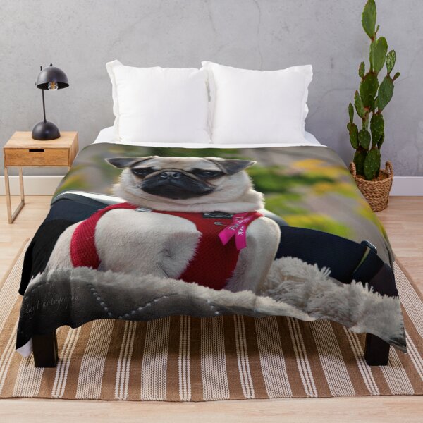 Item preview, Cute Pug in Brugge designed and sold by Yannik Hay.