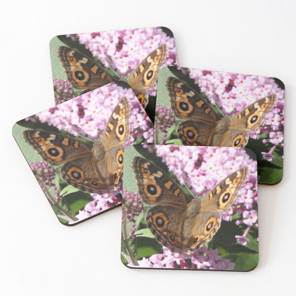 Item preview, Meadow Argus - Junonina villida designed and sold by Trish Meyer.