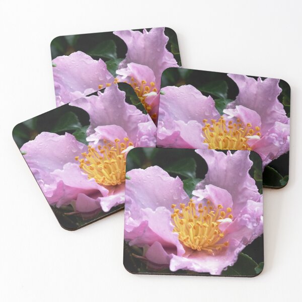Item preview, After the Rain designed and sold by Trish Meyer.