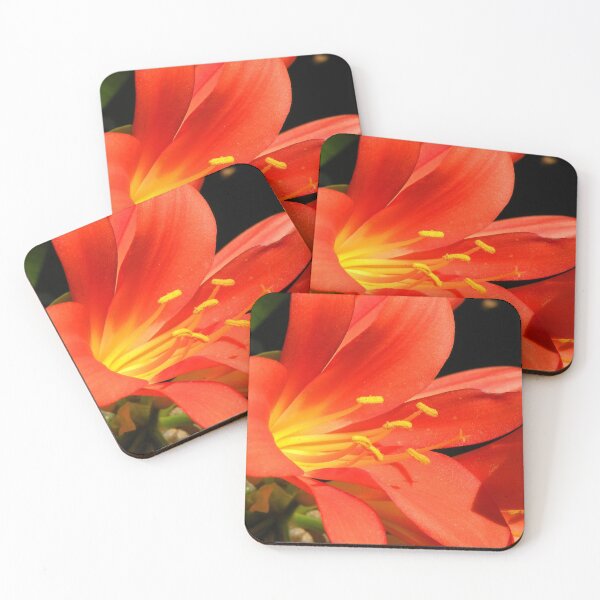 Item preview, Orange Delight designed and sold by Trish Meyer.