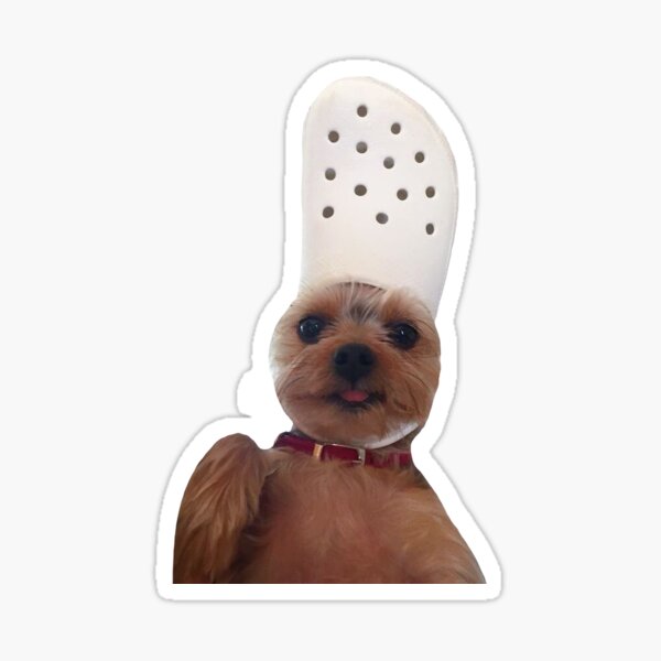Item preview, crocs funny puppy cute adorable vsco aesthetic designed and sold by stickergorlxox.