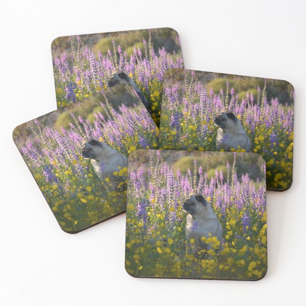 Item preview, Sunset Pug Surrounded by Super Bloom designed and sold by pugventurephoto.
