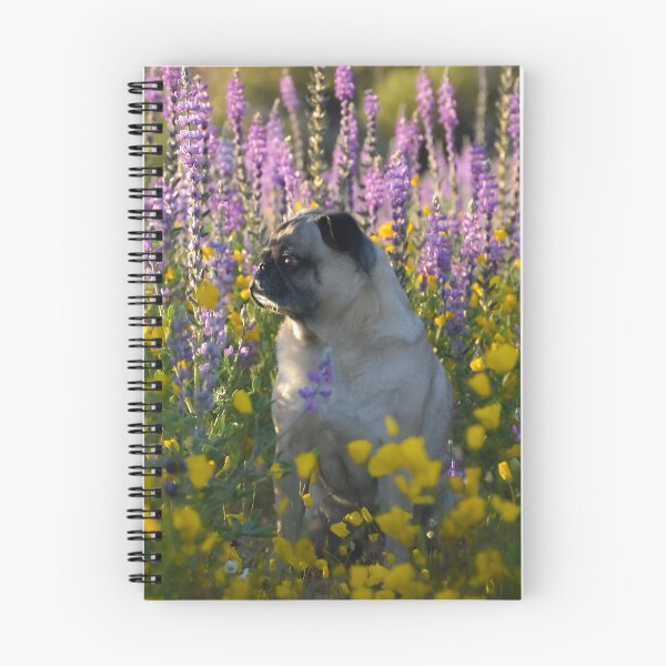 Item preview, Sunset Pug Surrounded by Super Bloom designed and sold by pugventurephoto.