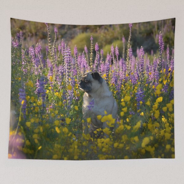 Item preview, Sunset Pug Surrounded by Super Bloom designed and sold by pugventurephoto.