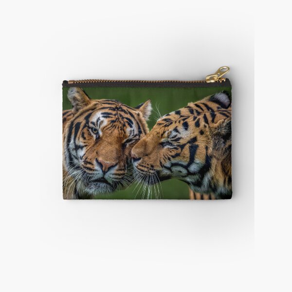 Item preview, Bengal Tigers Blade and Troy designed and sold by GadgetgazPhoto.