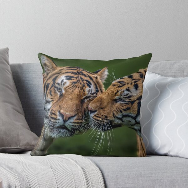 Item preview, Bengal Tigers Blade and Troy designed and sold by GadgetgazPhoto.