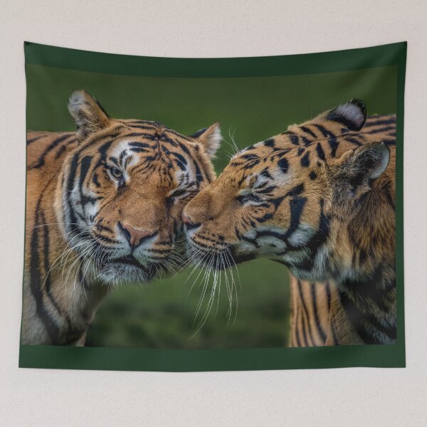 Item preview, Bengal Tigers Blade and Troy designed and sold by GadgetgazPhoto.