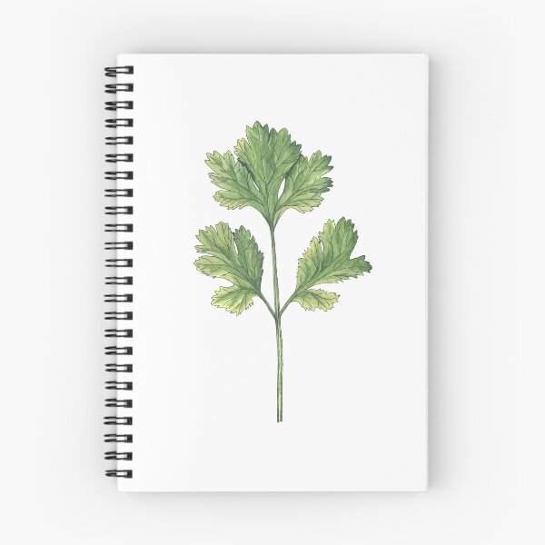 Item preview, Cilantro designed and sold by bfdubay.