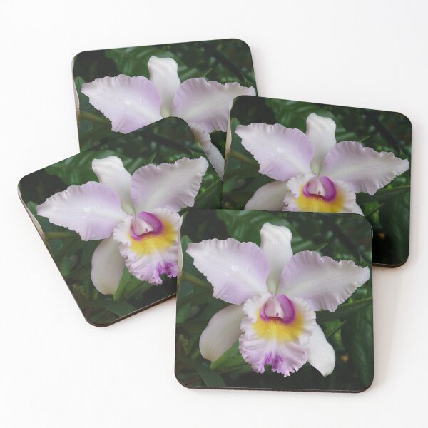 Item preview, An Unknown Beauty designed and sold by Trish Meyer.