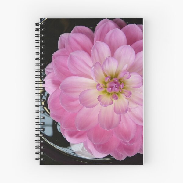Item preview, Dahlias #3 designed and sold by Sarah Curtiss.