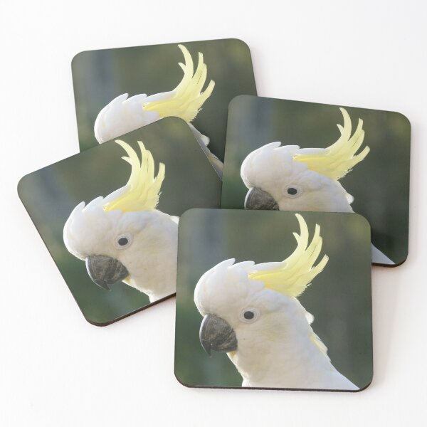 Item preview, Good Morning Cocky ! designed and sold by Trish Meyer.