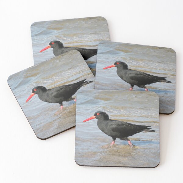 Item preview, Sooty Oystercatcher - striding out purposefully. designed and sold by Trish Meyer.
