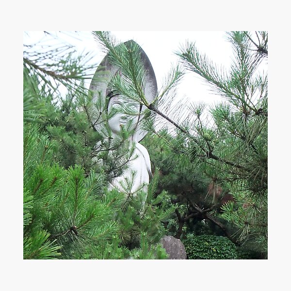 Kwan Yin in the Pines Photographic Print