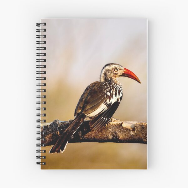 Item preview, Red-Billed Hornbill designed and sold by Kay Brewer.