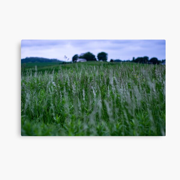 Item preview, Depth of Field designed and sold by ArtGalt.