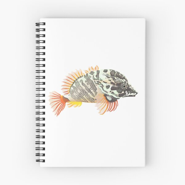 Item preview, Grunt Sculpin (Rhamphocottus richardsonii) designed and sold by SeaMonstress.
